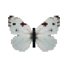Butterfly-dead-checkeredwhitemale.png