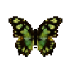 File:Butterfly-dead-malachitebutterfly.png
