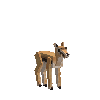 Creature-gazelle-calf.png
