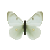 Butterfly-dead-giantnorthernsulfurfemale.png