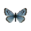Butterfly-dead-largebluefemale.png