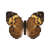 Butterfly-dead-rustic.png