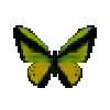 File:Butterfly-dead-goliathbirdwingmale.png