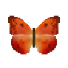 Butterfly-dead-orangebarredsulphurthalestrisredfemale.png