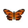Butterfly-dead-orangetiger.png