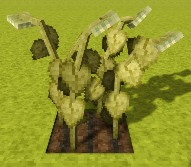 File:Sunflower-fully-grown-crop.png