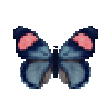 Butterfly-dead-paintedbeauty.png