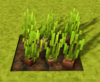 File:Carrot-fully-grown-crop.png