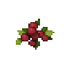 Fruit cranberry.png