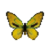 Butterfly-dead-ornithopterapriamuseuphorionabgoldenmale.png