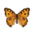 Butterfly-dead-peacockpansy.png