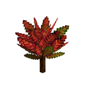 Flower-croton-medium-crimson-brown-green.png