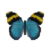 Butterfly-dead-goldbandedforester.png