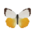 Butterfly-dead-orangeemigrantmale.png
