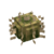 Barrelcactus.png