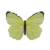 Butterfly-dead-lemonemigrantalcmeoneformmale.png