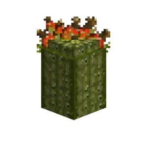 Saguarocactus-topripe.png