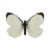 Butterfly-dead-largewhitemale.png