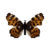 Butterfly-dead-mapbutterflymalespringform.png