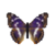 Butterfly-dead-purpleemperormale.png