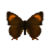 Butterfly-dead-brownhairstreakfemale.png