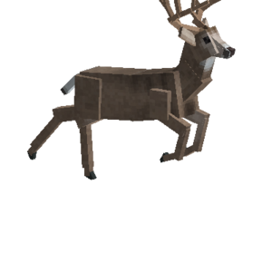 Taxidermy-male-mule-deer.png