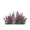 Flower-heather.png