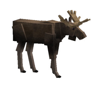 Taxidermy-male-moose.png