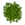 Leaves-placed-oak.png