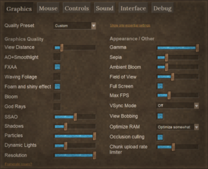 the first tab of several at the top is selected, displaying an array of options for the game's graphics