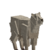 Goat-mountain-male-adult.png