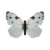 Butterfly-dead-checkeredwhitemale.png