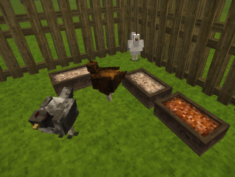 File:Chicken-with-trough.png