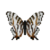 Butterfly-dead-africanmapwing.png