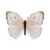Butterfly-dead-largeorangesulphurwhitefemale.png