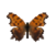 Butterfly-dead-easterncommasummerform.png