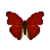 Butterfly-dead-bloodredglidermale.png