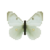 Butterfly-dead-giantnorthernsulfurfemale.png