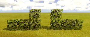 Trimmed-berry-bushes.png