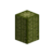 Saguarocactus-segment.png