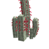 Silvertorchcactus.png