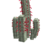 Silvertorchcactus.png