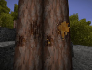 Leaking pine log example.png
