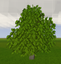 Простое дерево личи