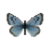 Butterfly-dead-largebluefemale.png