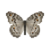 Butterfly-dead-graypansy.png