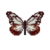 Butterfly-dead-chestnuttiger.png