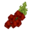 Fruit-redcurrant