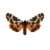 Butterfly-dead-gardentigermothmale.png