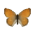 Butterfly-dead-smallheathmale.png